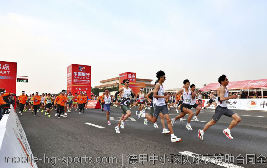 德甲中小球队球衣赞助合同金额的现状与未来
